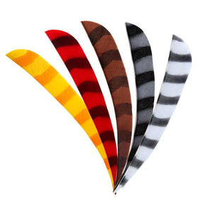 Arrows And Arrow Making - Bearpaw Fletching Feathers Parabolic 4" RW Barred 100 Pack