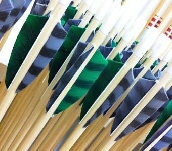 Order Blue wooden arrows for traditional and medieval archery