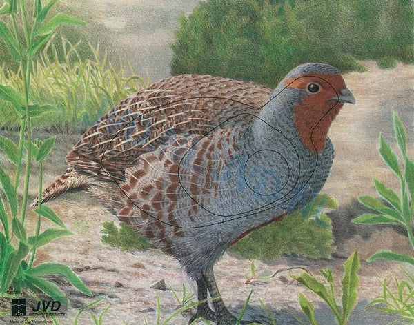 Target Face Partridge | The Longbow Shop