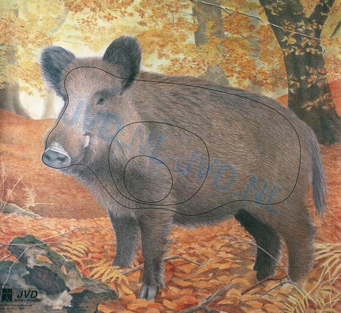 Targets - Target Face Wild Boar