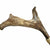 Whistling Antler Bow stands